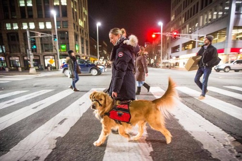 Understanding Texas Crosswalk Laws and Pedestrian Rights